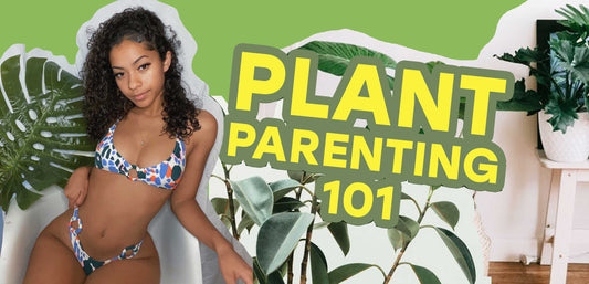 How to be a Plant Mom