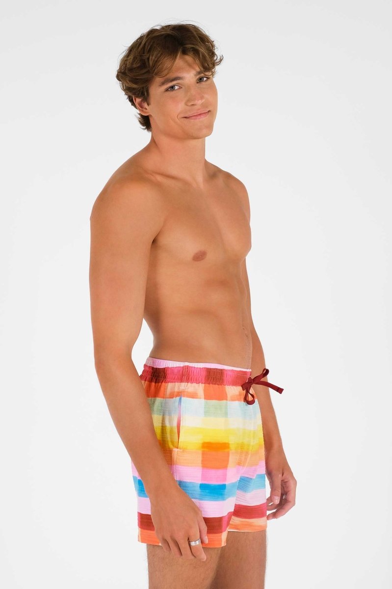 Men's Swim Shorts / Day Trippin'