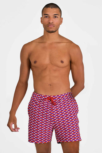 Men's Swim Shorts / Lodge