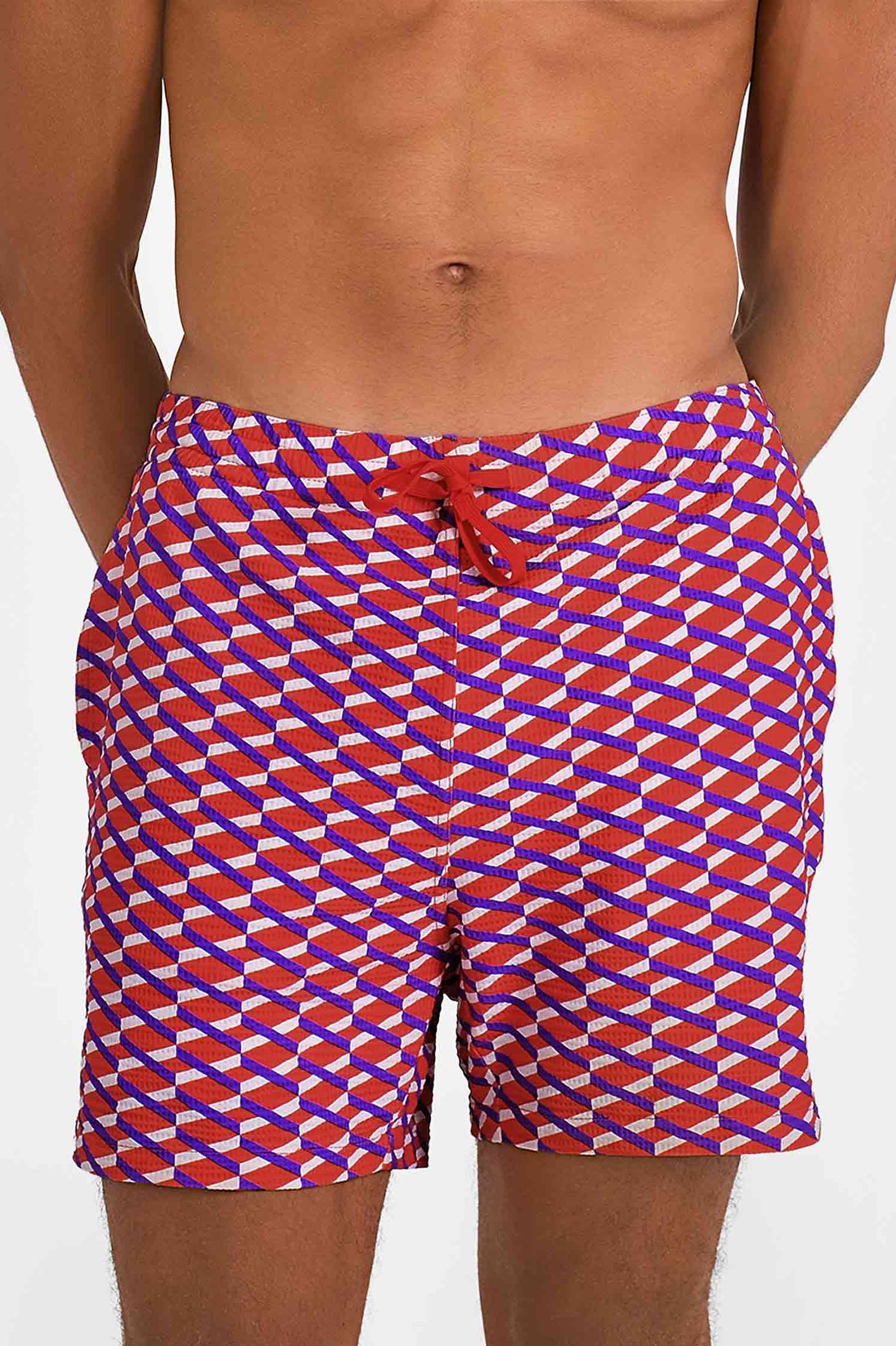 Men's Swim Shorts / Lodge