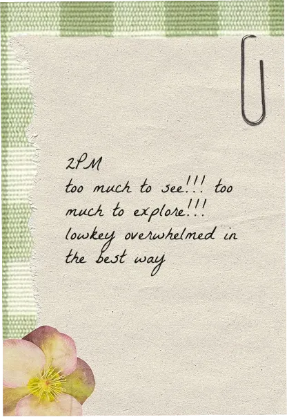 2PM too much to see!!! too much to explore!!! lowkey overwhelmed in the best way