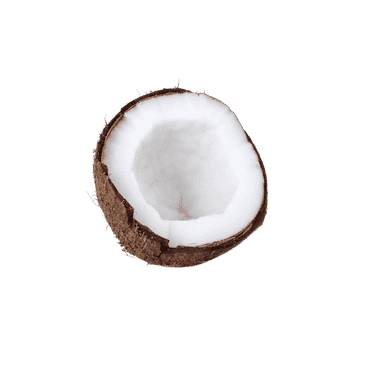opened coconut