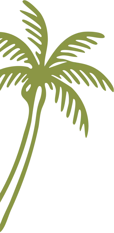 palm tree